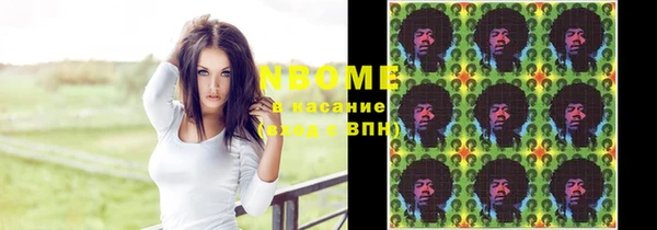 индика Балабаново