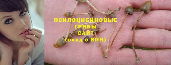 прущая мука Балахна