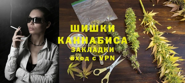 индика Балабаново
