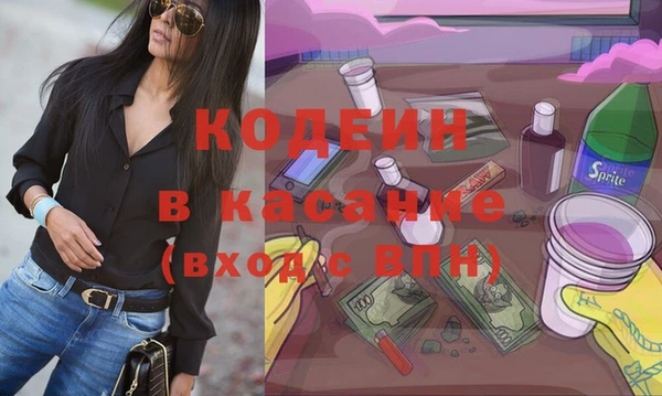 индика Балабаново