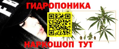 ПСИЛОЦИБИНОВЫЕ ГРИБЫ Балахна