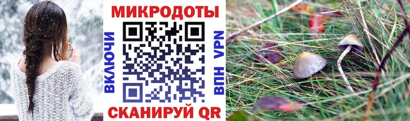 Псилоцибиновые грибы Magic Shrooms  магазин    Вязники 