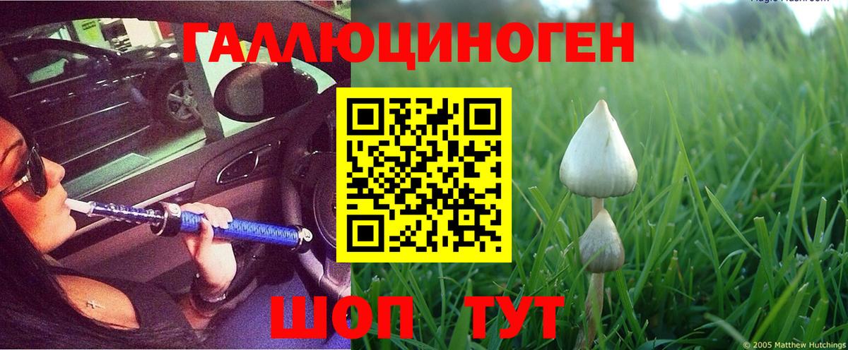 Вязники  Псилоцибиновые грибы Psilocybe  Вход с VPN 