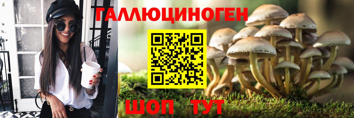 Псилоцибиновые грибы Psilocybine cubensis  Вязники 