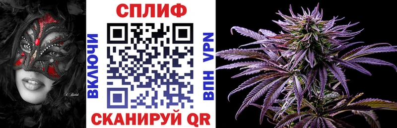 продажа наркотиков  Вязники  Бошки марихуана Amnesia 